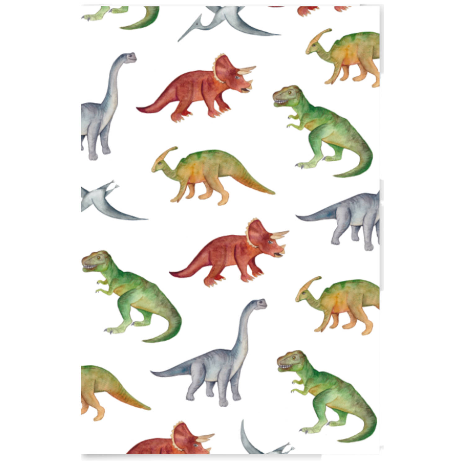 FRITSY - Kaart 'Dinosauriërs' - 5 stuks