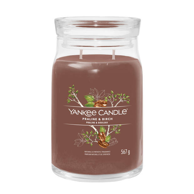 Yankee Candle Geurkaars Large - met 2 lonten - Praline & Birch - 16 cm / ø 9 cm