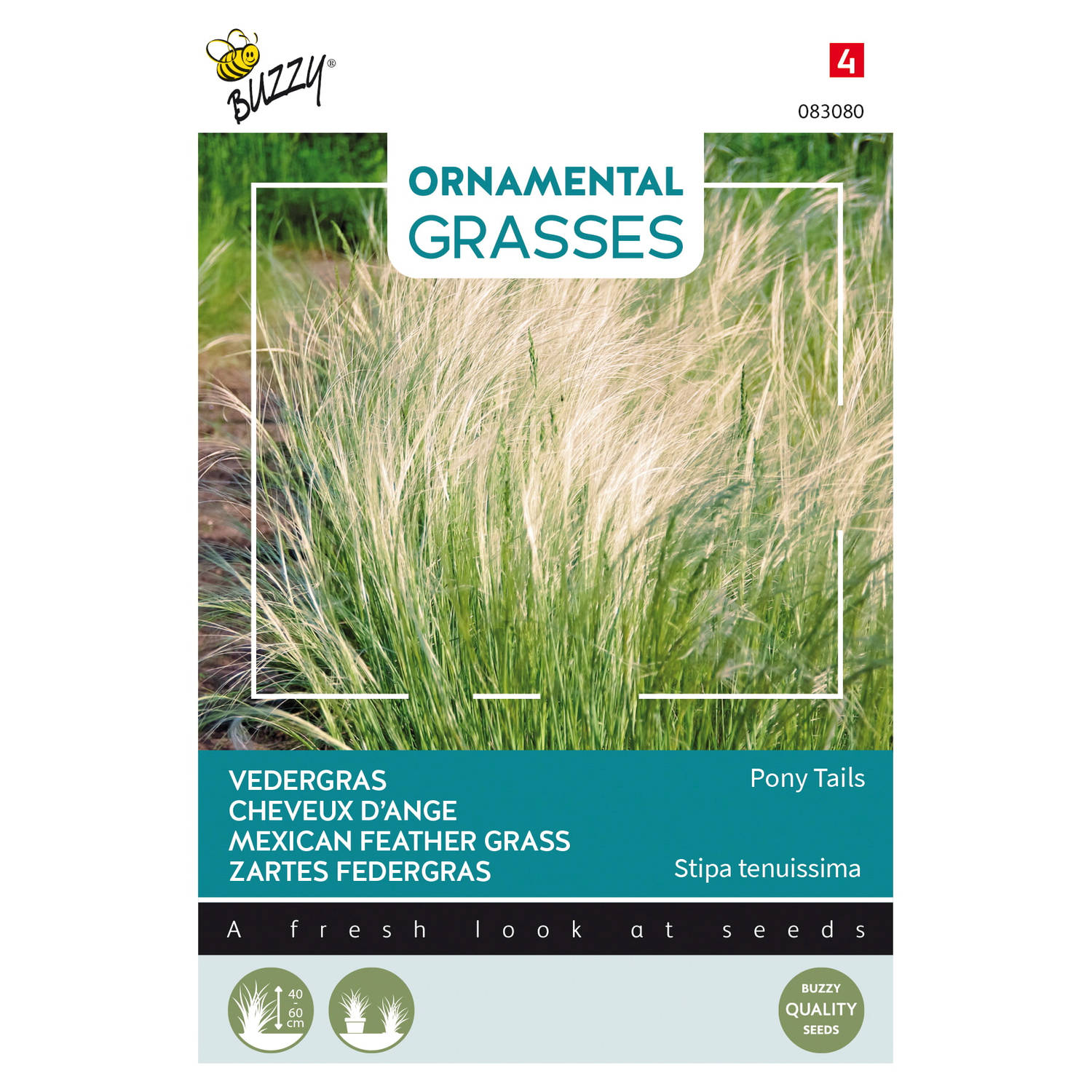 Buzzy - Ornamental Grasses, Stipa tenuissima 'Pony Tails'