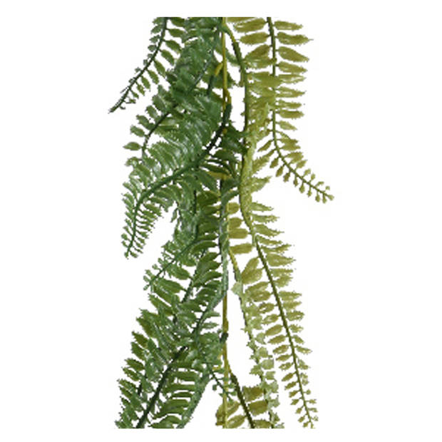 Everlands Planten slinger - varen - kunstplant - groen - 180 cm - Kunstplanten