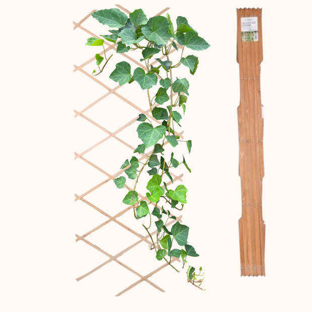 HIXA Klimrek Planten - Uitschuifbaar - Trellis - Hout - Tuinlatwerk - 180x90cm