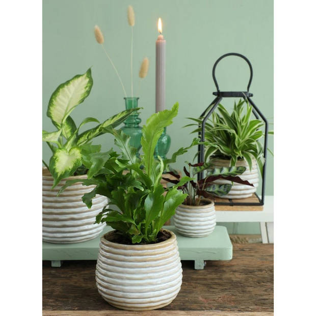 Ideas4seasons Bloempot/plantenpot - 2x - creme wit - voor kamerplant - D16 x H13 cm - Plantenpotten