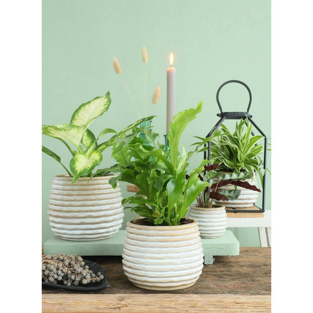 Ideas4seasons Bloempot/plantenpot - creme wit - voor kamerplant - D14 x H10 cm - Plantenpotten