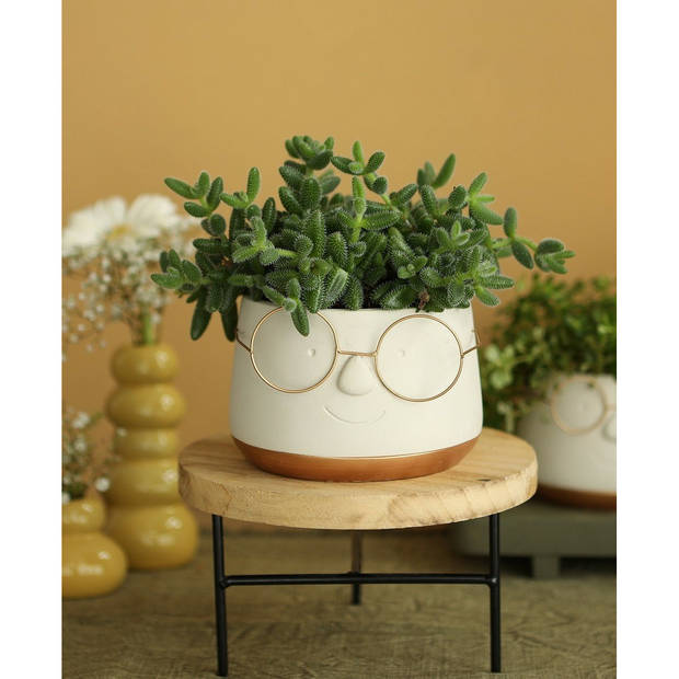 Ideas4seasons Bloempot/plantenpot bril - wit/goud - voor kamerplant - D16 x H12 cm - Plantenpotten