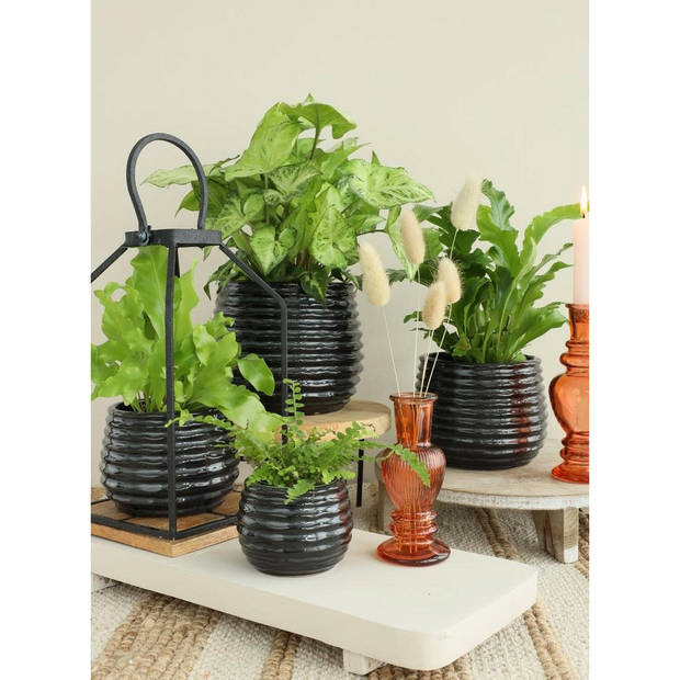 Ideas4seasons Bloempot/plantenpot - zwart - kamerplant - D16xH13cm - Plantenpotten