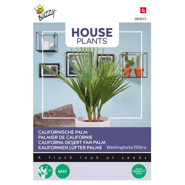 Buzzy - House Plants Washingtonia filifera - Californische palm