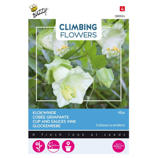 3 stuks - Buzzy - Flowering climbers cobaea wit