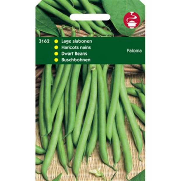 5 stuks - Tuinplus - Stamslabonen Paloma 100 gram