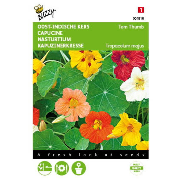 2 stuks - Buzzy - Tropaeolum majus Tom Thumb gemengd