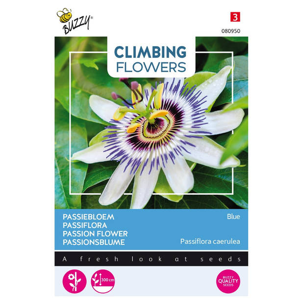 3 stuks - Buzzy - Flowering climbers passiflora caerulea