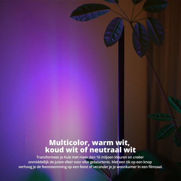 FlinQ Xyro LED Slimme Vloerlamp - Staande Lamp - Zwart
