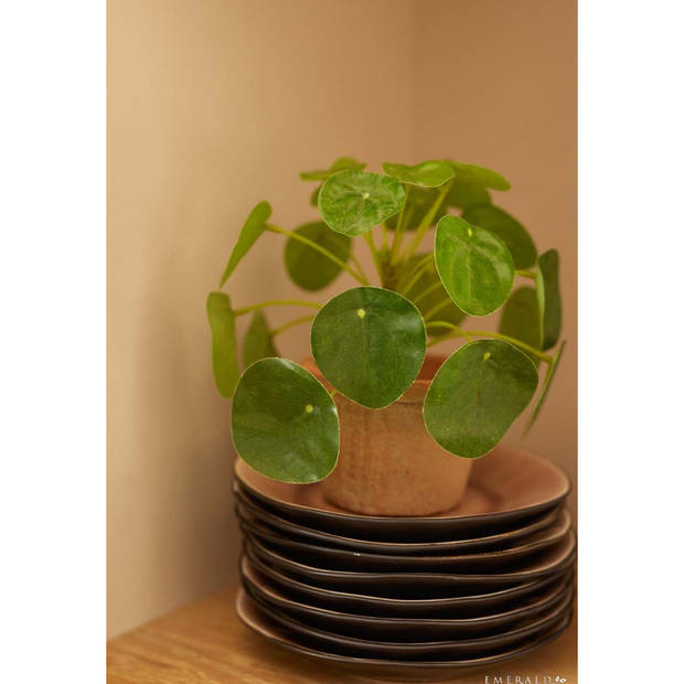 Kunstplant pilea/pannekoekplant - 2x - mini - groen - in pot - 13 cm - Kunstplanten