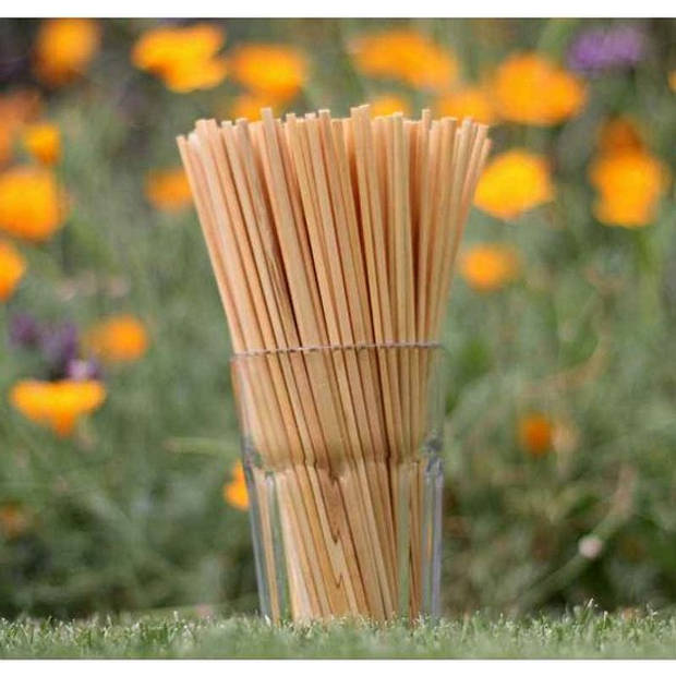 Rietjes van Riet - 100% natuurvriendelijk drinkrietjes - 200 stuks