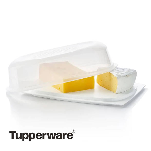 Tupperware Cheese Smart-Groot