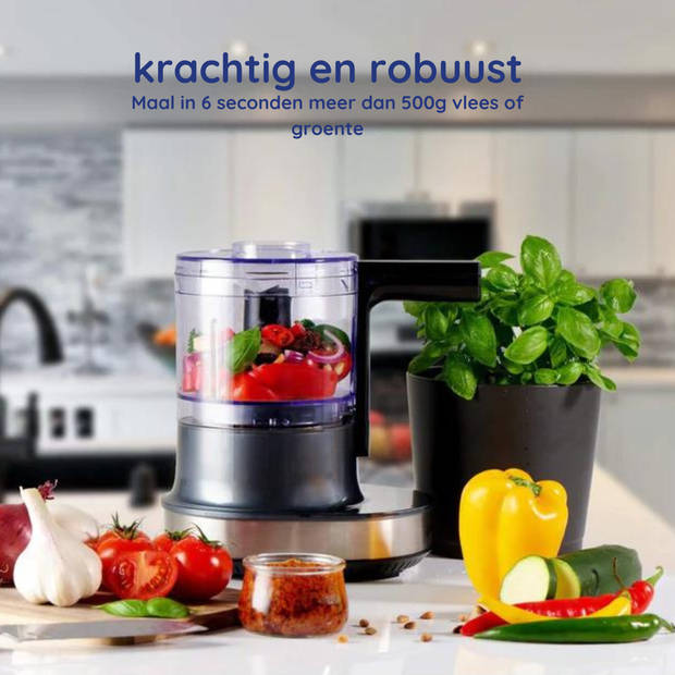 Safecourt Kitchen Food chopper - Hakmolen - Mini foodprocessor - IJscrusher - Zwart/RVS