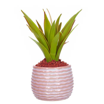 Ideas4seasons Bloempot/plantenpot - zachtroze - voor kamerplant - D14 x H10 cm - Plantenpotten