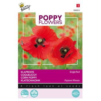 3 stuks - Buzzy - Poppies of the world klaproos rhoeas rood