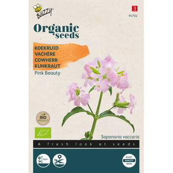 Buzzy - Organic Saponaria, Koekruid Pink Beauty BIO