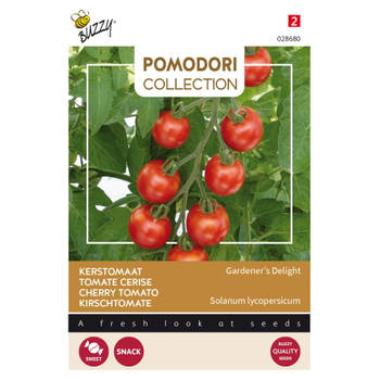 Buzzy - Pomodori Gardeners Delight (Cherry)