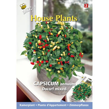 3 stuks - Buzzy - House plants capsicum sierpeper dwarf special
