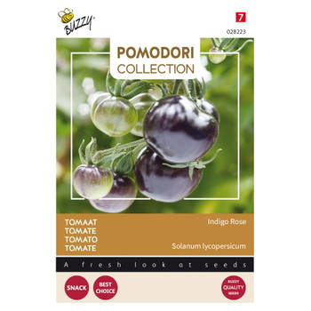 Buzzy - Pomodori Indigo rose (zwart)