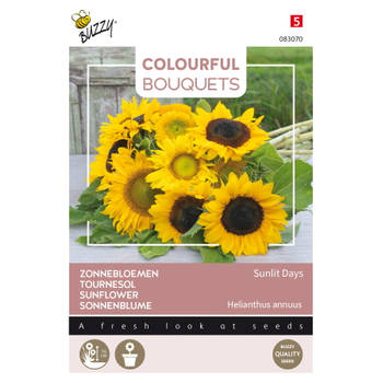 Buzzy - Colourful Bouquets, Sunlit Days (Zonnebloemen halfhoog)