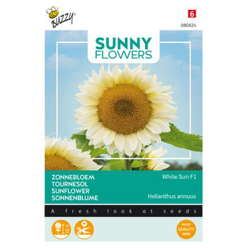 Buzzy - Sunny Flowers, Zonnebloem White Sun of Day