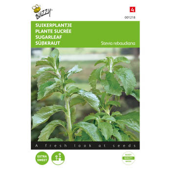 2 stuks - Buzzy - Stevia, Suikerplantje of Honingkruid