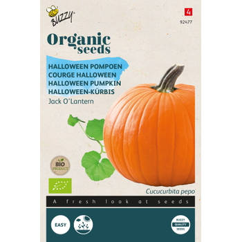 Buzzy - Organic Pompoen Jack O'Lantern (BIO)