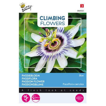 3 stuks - Buzzy - Flowering climbers passiflora caerulea