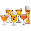 Bierglazen cadeau set - Bierliefhebber - 6 stuks