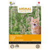 Tuinplus - Animal favorites kattenkruid - katten tuinzaden