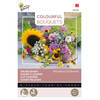 Buzzy - Colourful Bouquets, Marvelous Cutflowers (Snijbloemenmengsel)