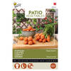 Buzzy - Patio Veggies, Wortel Parijse Markt