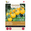 3 stuks - Buzzy - Pomodori ciliegia gialla