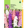 2 stuks - Hortitops - Delphinium Ajacis Hyacinthbloemig Gemengd