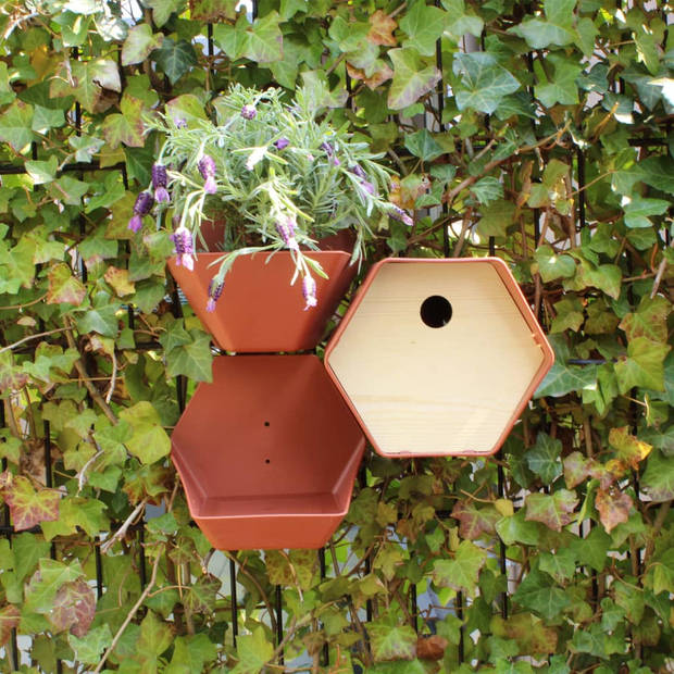 Capi Vogelhuisje Hive 1 rond gat 19x23x20 cm bruin