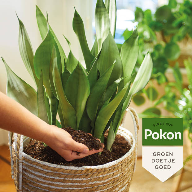 Pokon Bio Turfvrij Kamerplanten Potgrond - 10L