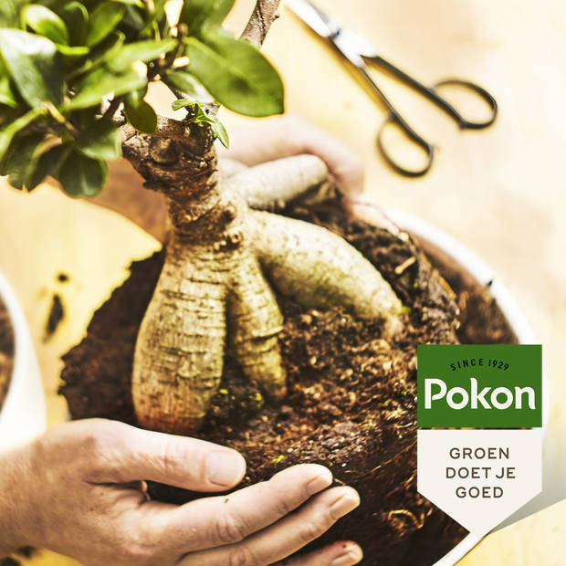 Pokon Bonsai Potgrond - 5L