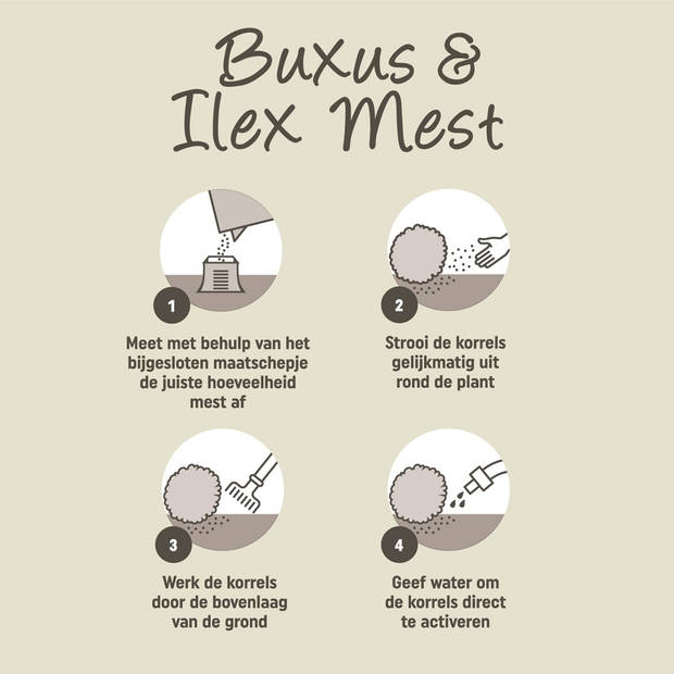 Pokon Buxus & Ilex Mest - 1kg