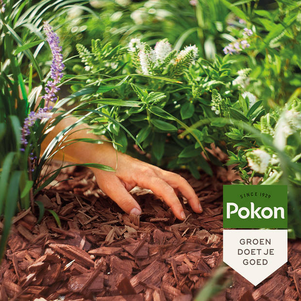 Pokon Houtsnippers Cacaobruin - 45L