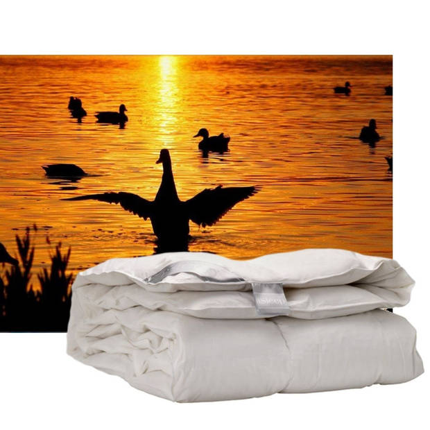 iSleep enkel dekbed 100% dons - warmteklasse 1 - Lits-jumeaux 240x200 cm