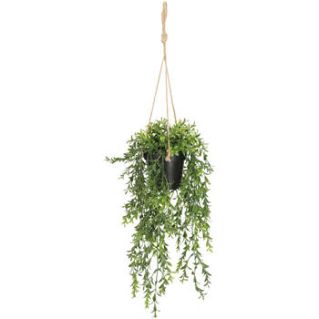 Kunstplant Boxwood hangend - 50cm