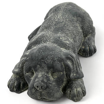 Beeld Liggende Hond - Grijs - Steen - 23 x 13 x 7 cm