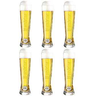 Warsteiner Bierglazen Premium - 200 ml - 6 stuks