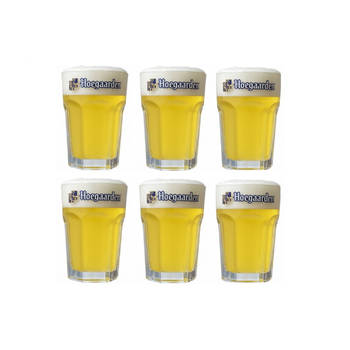 Hoegaarden Bierglazen Witbier - 330 ml - 6 stuks