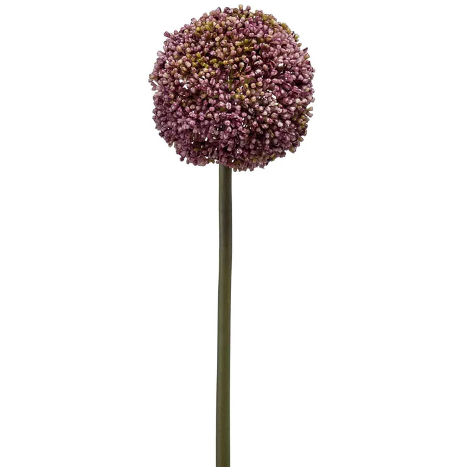 Emerald - Kunstbloem Allium paars 75cm - Kunstplanten voor binnen