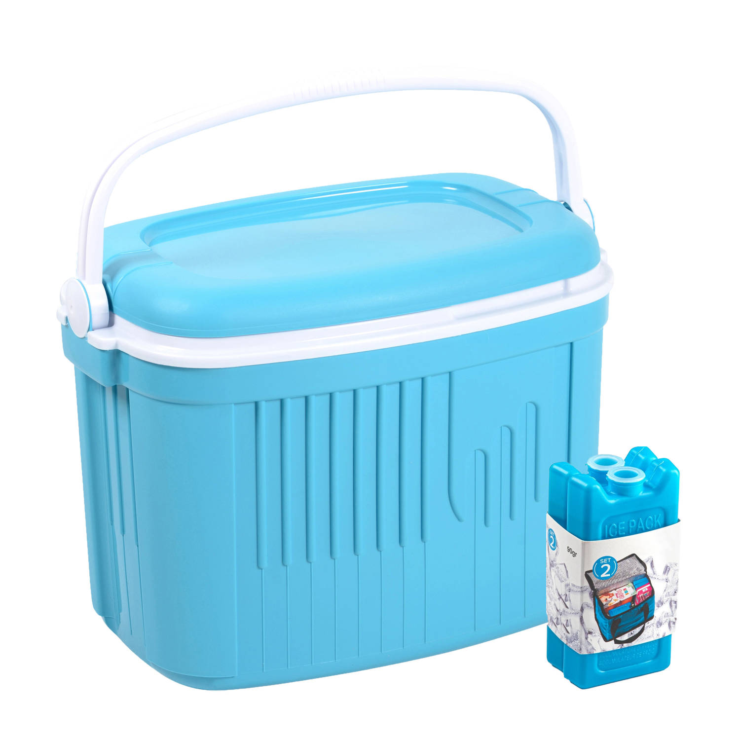 Koelbox met koelelementen - 42 liter - kunststof - blauw - 56 x 37 x 42 cm - Koelboxen
