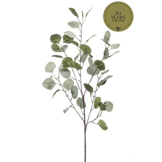 Emerald Kunstbloem Eucalyptus tak - 87 cm - groen - Kunstbloemen