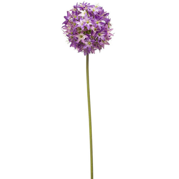 Emerald Allium/Sierui kunstbloem - 2x - losse steel - paars - 60 cm - Natuurlijke uitstraling - Kunstbloemen